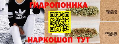 ECSTASY Нальчик