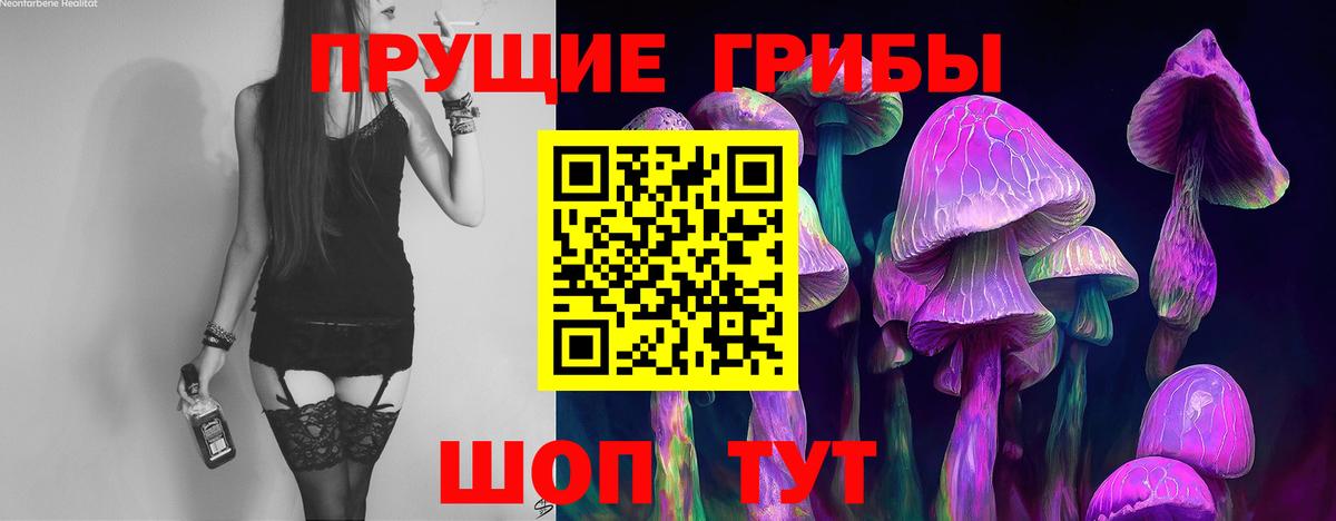 Псилоцибиновые грибы Cubensis  Вход с VPN  Рузаевка 